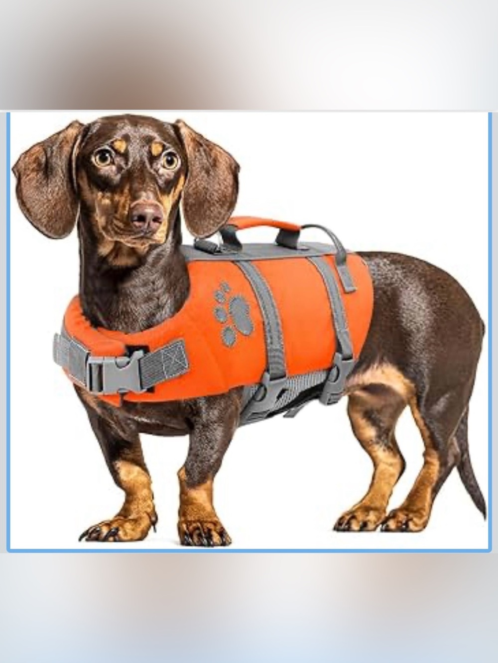 Dog Life Jacket Medium Safety Dog Life Vest for Swimming/Boating M. 2563/DB-1